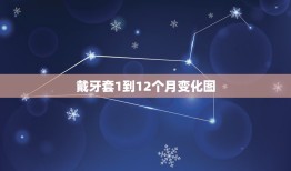 戴牙套1到12个月变化图，带牙套1~12月变化图？