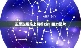 王思聪蛋糕上写着kimi用力图片，王思聪过33岁生日，前女友也来捧场，