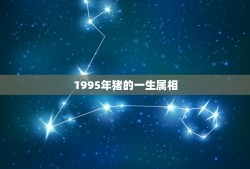 1995年猪的一生属相，95年属猪的是什么命