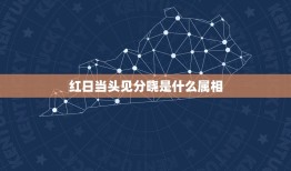 红日当头见分晓是什么属相，红日当头见分晓打一个生肖