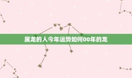 属龙的人今年运势如何00年的龙(2023年运势大介绍)