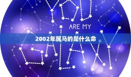 2002年属马的是什么命，2002年出生是什么命