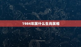 1984年属什么生肖属相，1984年属相是什么