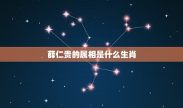 薛仁贵的属相是什么生肖，薛仁贵是什么生肖