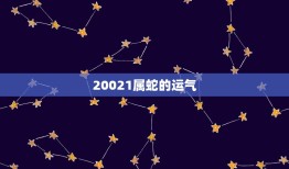 20021属蛇的运气(如何介绍2023年蛇年运势)