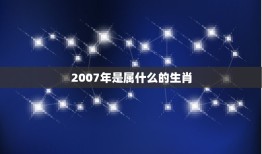 2007年是属什么的生肖，2007年是属于什么生肖年