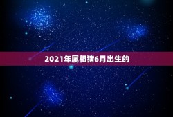 2021年属相猪6月出生的，属猪2021年多大