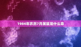 1984年农历7月属鼠是什么命(介绍命运如何)