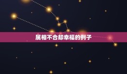 属相不合却幸福的例子(他们的爱情不受属相束缚)