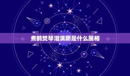 煮鹤焚琴泪满腮是什么属相，焚琴煮鹤指什么生肖