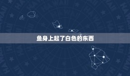 鱼身上起了白色的东西，鱼塘里面的鱼身体上长了白色絮状物怎么治疗