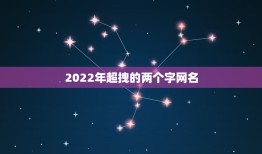 2022年超拽的两个字网名，2021年最新两个字稀有网名