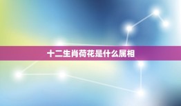 十二生肖荷花是什么属相，荷花代表什么生肖啊？