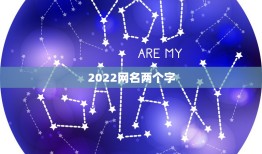 2022网名两个字，2023两字网名