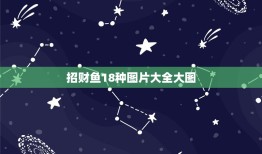 招财鱼18种图片大全大图，招财鱼图片以及名字