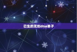 已生的无创dna单子，无创DNA结果看男女