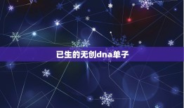 已生的无创dna单子，无创DNA结果看男女