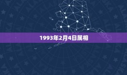 1993年2月4日属相，1993年属猴是什么命