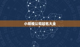 小规模公司起名大全，小规模纳税人名字怎样:取合适？