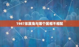 1987年属兔与哪个属相不相配，87年属兔生肖配对