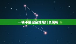 一钱不落虚空地是什么属相，《手术台就是阵地》练习题