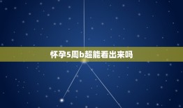 怀孕5周b超能看出来吗，怀孕5周照彩超可以看得到什么吗？