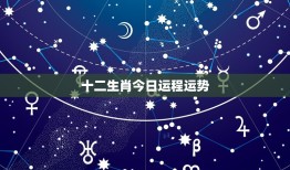 十二生肖今日运程运势(星象大变运势大介绍)