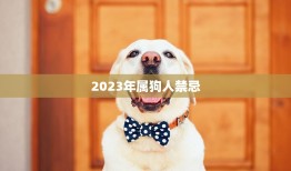 2023年属狗人禁忌(如何避免厄运)