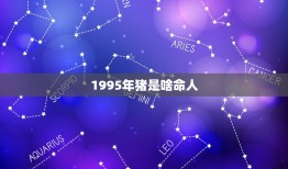 1995年猪是啥命人，属猪人什么命