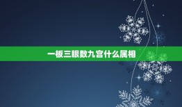 一板三眼数九宫什么属相，一板三眼数九宫，打一个生肖或数字，详细说明理由