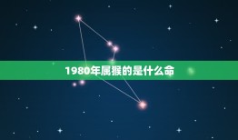 1980年属猴的是什么命，1980年属猴的是什么命？