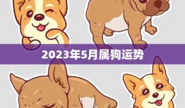 2023年5月属狗运势(狗年大展宏图财运亨通)