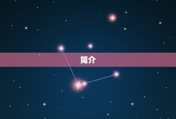 双子座适合戴什么项链(星座配饰指南)