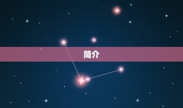 双子座适合戴什么项链(星座配饰指南)