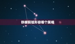 铁板铜弦形容哪个属相，什么成语中有应和铁