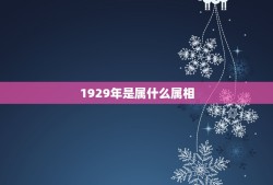 1929年是属什么属相，一八九三年是什么属相