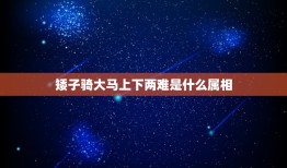 矮子骑大马上下两难是什么属相，矮子骑大马——上下两难；上下为难sss矮