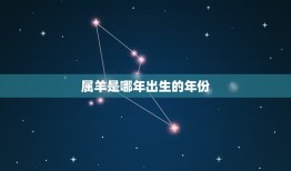 属羊是哪年出生的年份，请问明年是什么年，属羊、男的运程怎样？