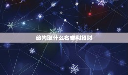 给狗取什么名吉利招财，狗狗发财的名字大全