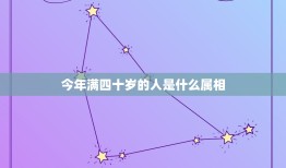 今年满四十岁的人是什么属相，2023年41岁的人是哪年岀生的，属相是什