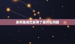 发财鱼尾巴发黑了是什么问题，发财鱼的身体为什么会发黑？