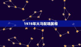 1978年火马配啥属相，1979火羊和1978火马合不合