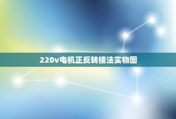 220v电机正反转接法实物图，电机正反转怎么接线实物图