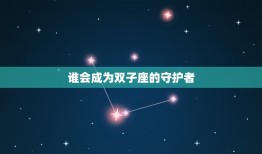 谁会保护双子座一辈子(寻找永恒的守护者)