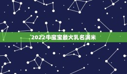 2022牛宝宝最火乳名满米