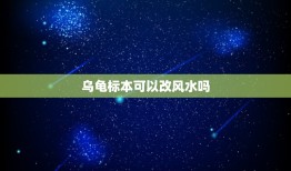 乌龟标本可以改风水吗，海龟标本在家里怎样摆放