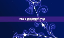 2022最新昵称3个字，2021最新昵称四字