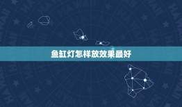 鱼缸灯怎样放效果最好，鱼缸里放什么样的灯比较好？