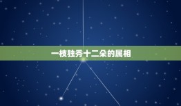 一枝独秀十二朵的属相，一枝独秀是什么生肖