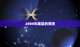 2008年属鼠的男孩，2008年属鼠是什么命